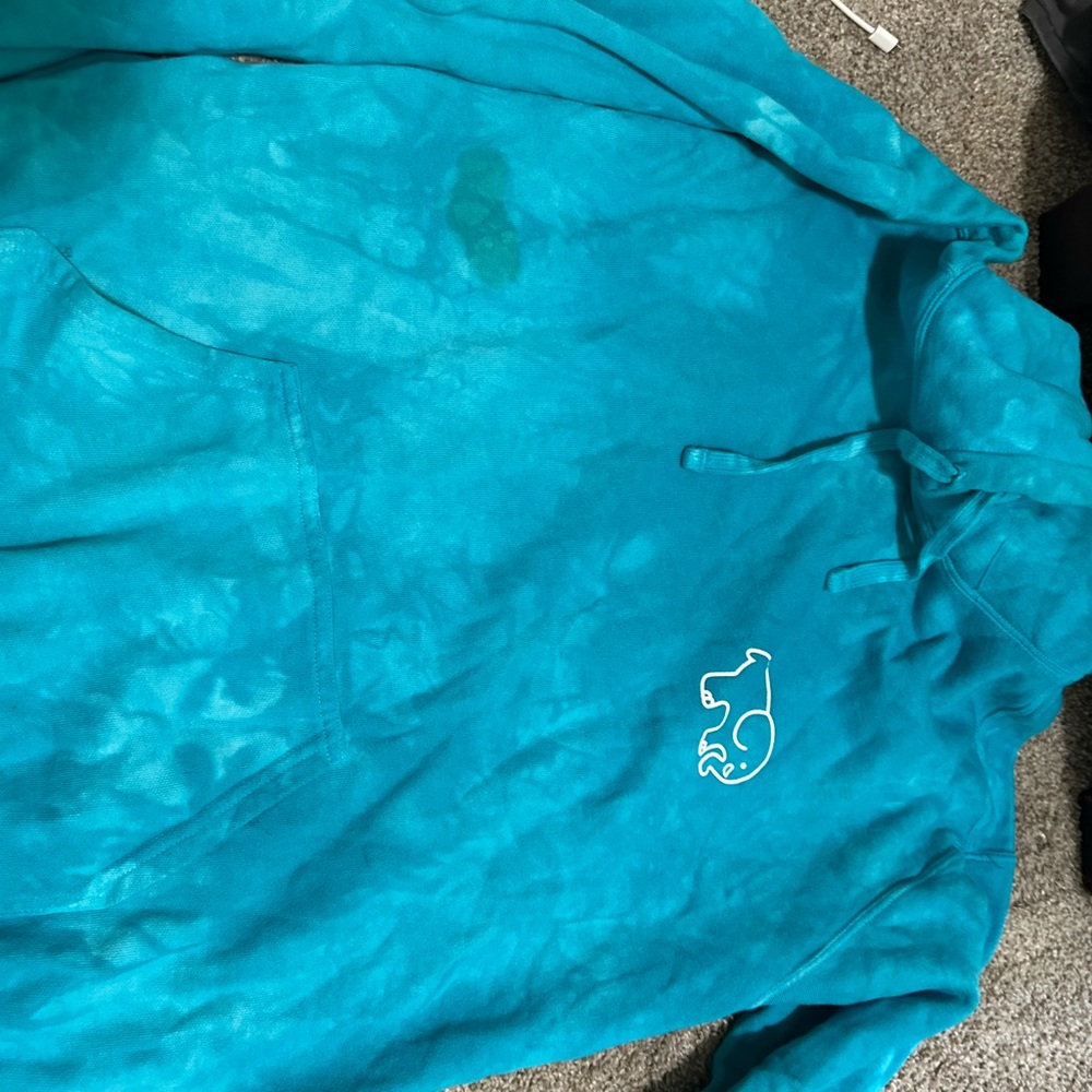 Ivory Ella Teal Hoodie with White Logo
